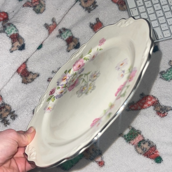 Vintage Homer Laughlin Virginia Rose Dinnerplate dinnerware - Picture 7 of 7